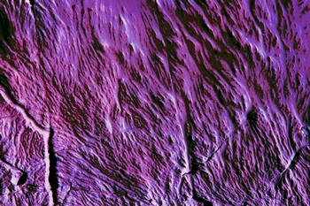 AP 91B